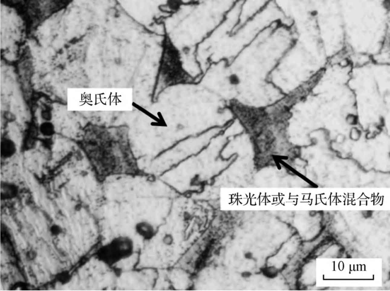 Experimental design results of distortion in thickness direction of ...